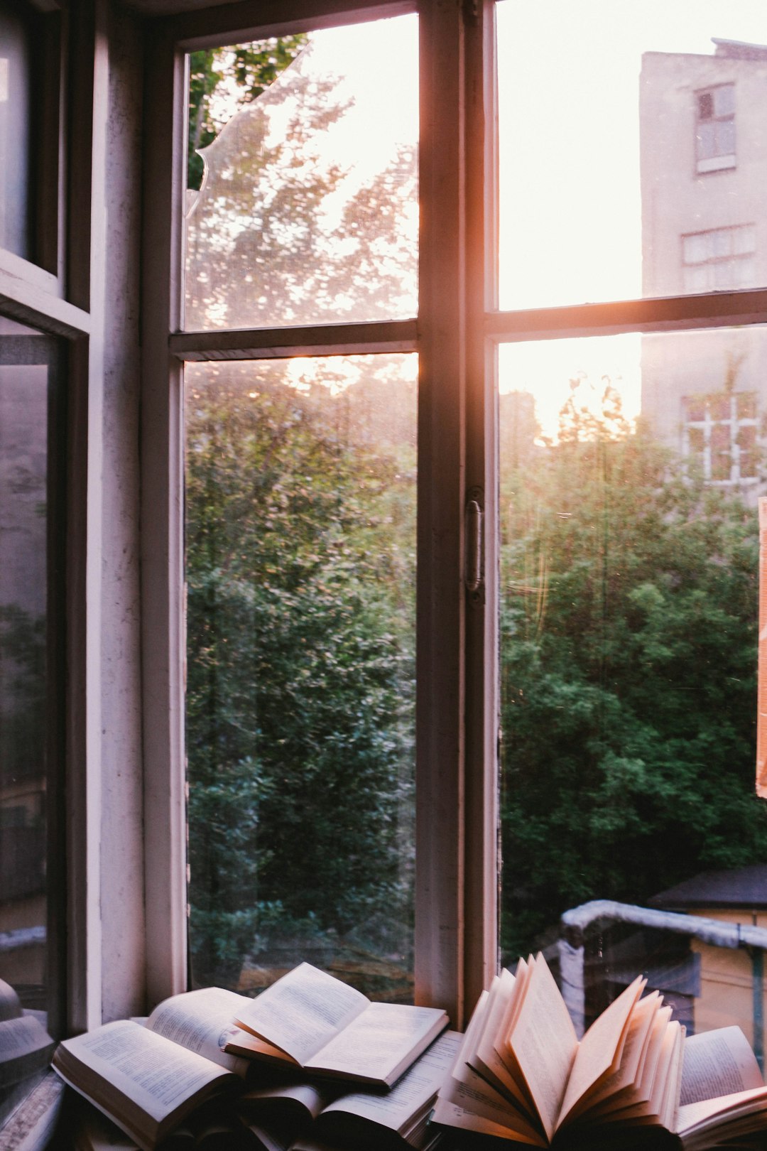 books-beside-window-during-sunset-p6uqpnyxci4