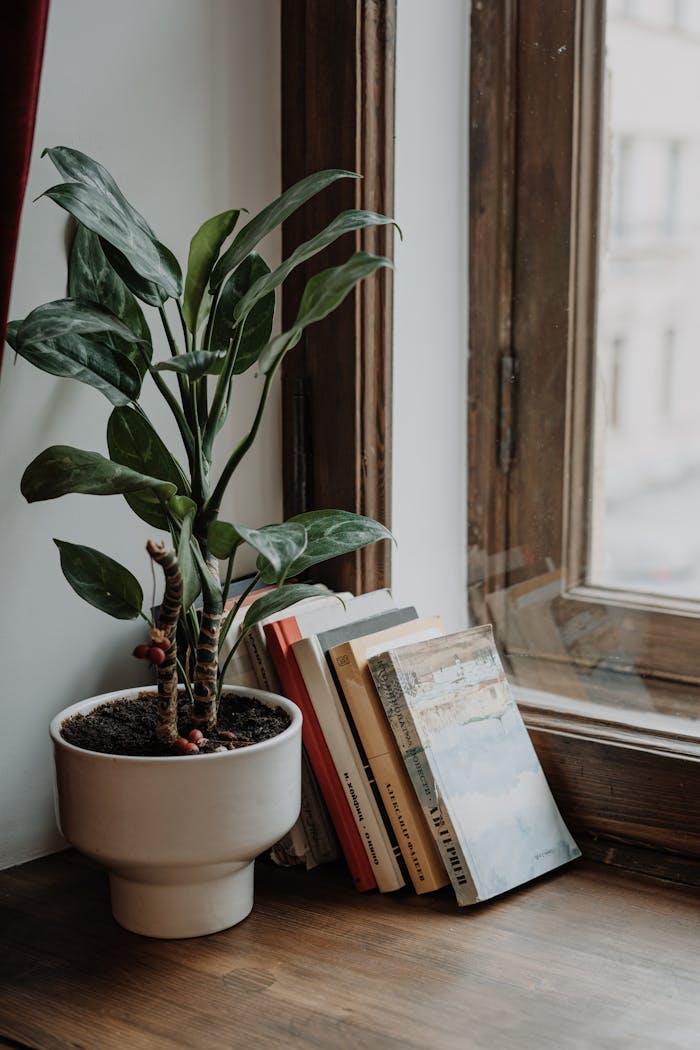 A serene windowsill featuring a potted plant and neatly arranged books, creating a cozy indoor vibe.